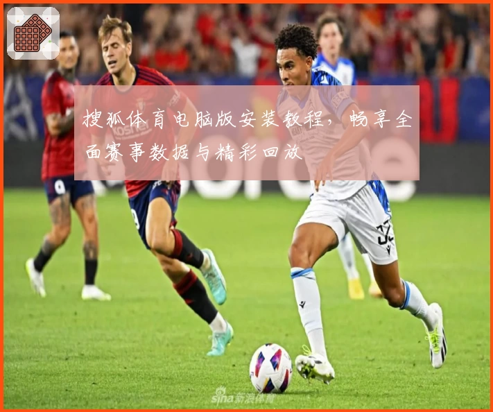 搜狐体育电脑版安装教程，畅享全面赛事数据与精彩回放