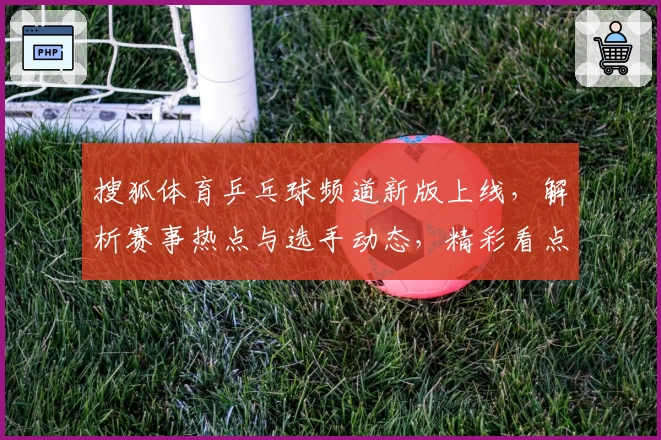 搜狐体育乒乓球频道新版上线，解析赛事热点与选手动态，精彩看点一网打尽