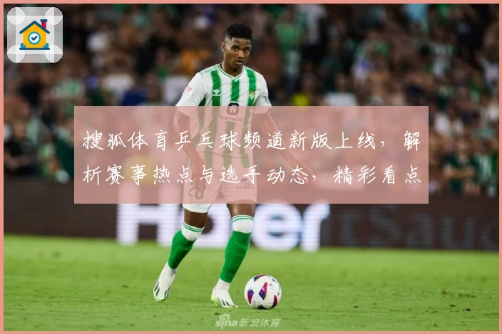 搜狐体育乒乓球频道新版上线，解析赛事热点与选手动态，精彩看点一网打尽