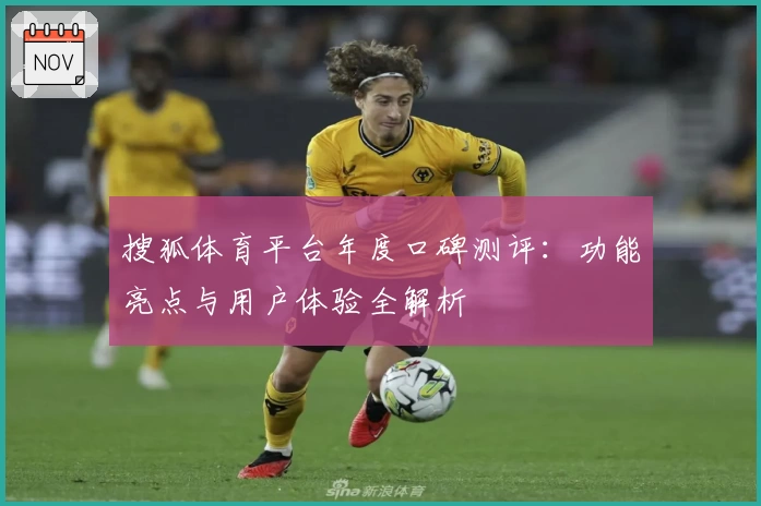 搜狐体育平台年度口碑测评：功能亮点与用户体验全解析