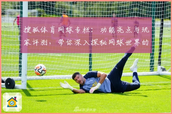 搜狐体育网球专栏：功能亮点与玩家评测，带你深入探秘网球世界的精彩瞬间